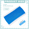 Polyester Lace Ribbon OCOR-WH0105-188-2