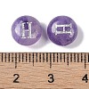 Natural Amethyst Beads G-L524-20H-03-3