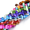 Natural Trochid Shell/Trochus Shell Beads Strands SHEL-S258-082-2