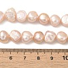 Natural Cultured Freshwater Pearl Beads Strands PEAR-A006-10F-5