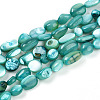Natural White Shell Beads Strands SHEL-N036-21C-1
