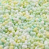 Macaron Color Opaque Frosted Glass Seed Beads SEED-K009-12B-04-3