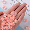 Transparent Acrylic Beads TACR-S152-02A-SS2109-5