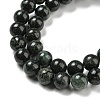 Natural Serpentine Beads Strands G-P504-6mm-01-4