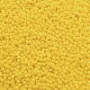 TOHO 11/0 Round Beads X-SEED-TR11-0042B-2