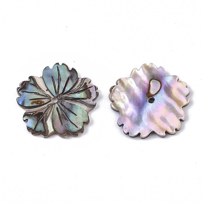 Natural Paua Shell/Abalone Shell Beads SSHEL-R046-02-1