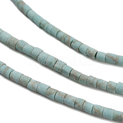 Dyed Synthetic Turquoise Beads Strands G-P594-01B-05-1