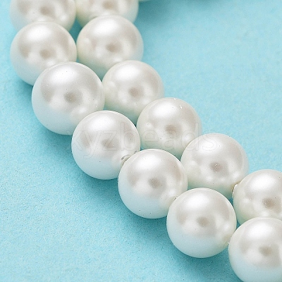 Shell Pearl Bead Strands BSHE-L026-03-6mm-1