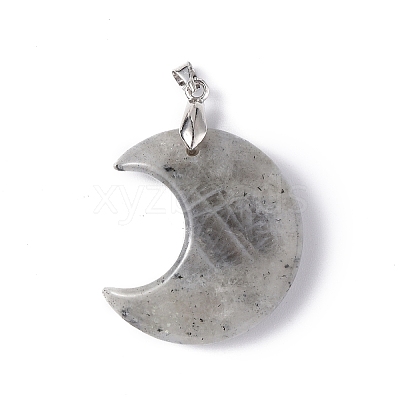 Natural Labradorite Pendants G-Z022-04L-1