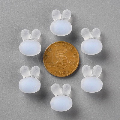 Transparent Acrylic Beads TACR-S152-12C-SS2113-1