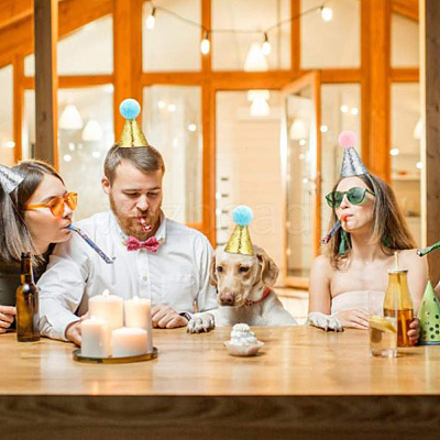 Polyester Dog Bow Ties and Birthday Hat AJEW-DR0001-60-1