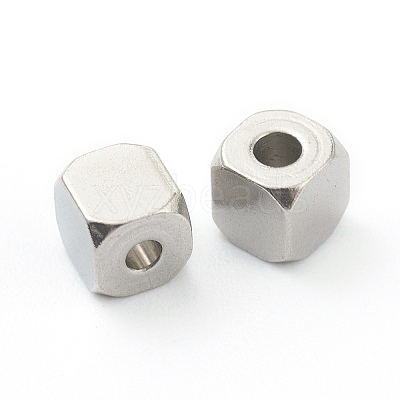 Non-Tarnish 304 Stainless Steel Beads LS-STAS-H160-02C-P-1