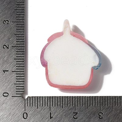 Summer Theme Opaque Resin Cabochons RESI-G106-01B-1