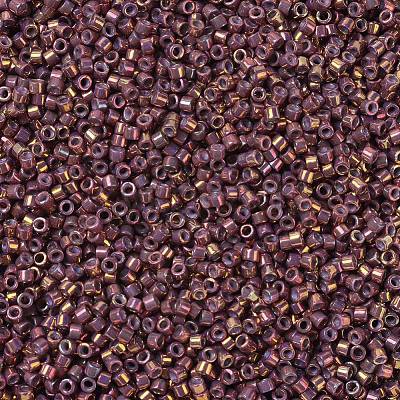 MIYUKI Delica Beads Small SEED-JP0008-DBS1013-1