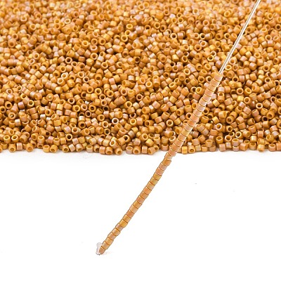 MIYUKI Delica Beads X-SEED-J020-DB2303-1