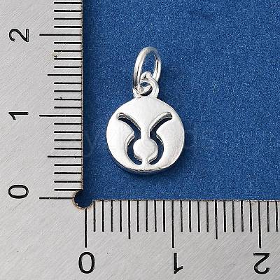 925 Sterling Silver Constellations Charms STER-M118-01B-1