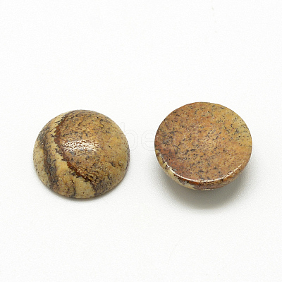 Natural Picture Jasper Cabochons X-G-R416-12mm-42-1