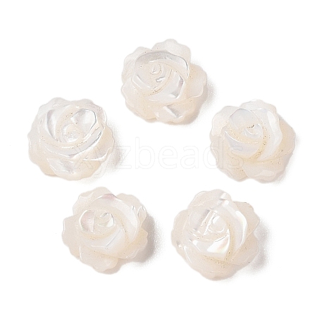 Natural White Shell Beads SSHEL-C012-06-1