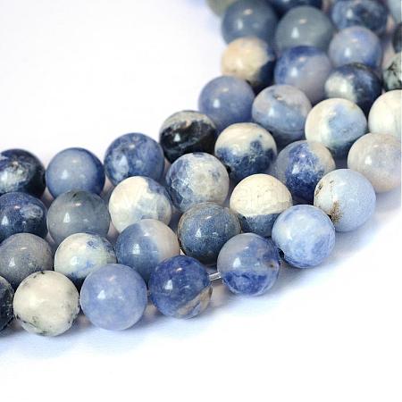 Natural Sodalite Round Bead Strands G-E334-10mm-08-1