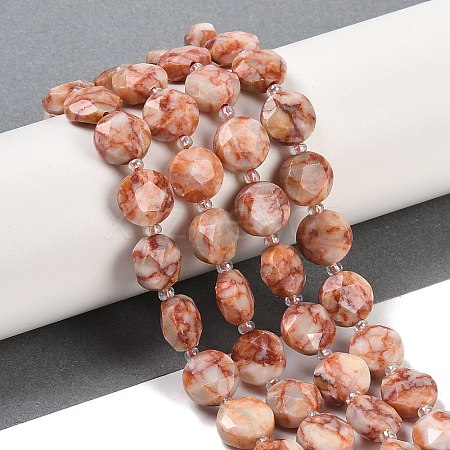 Natural Red Netstone Beads Strands G-C116-A71-01-1