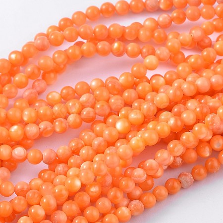 Natural Shell Beads Strands PRS002Y-1