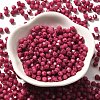 Baking Paint Glass Seed Beads SEED-A032-02A-11-2