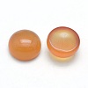 Natural Carnelian Cabochons X-G-P393-R41-10mm-2