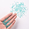 11/0 Grade A Round Glass Seed Beads SEED-N001-E-318-4