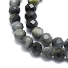 Natural Hawk's Eye Beads Strands G-P457-A03-06-2