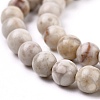Natural Maifanite/Maifan Stone Beads Strands G-I187-6mm-01-7