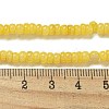 Dyed Natural Freshwater Shell Beads Strands BSHE-G039-07F-4