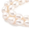 Natural Cultured Freshwater Pearl Beads Strands PEAR-P062-17B-4