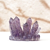 Natural Amethyst Crystal Cluster Shape Home Decoration PW-WG57F79-01-1