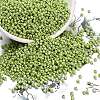 12/0 Glass Seed Beads SEED-A012-2mm-124-1