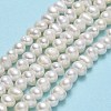 Natural Cultured Freshwater Pearl Beads Strands PEAR-F018-05-01-2