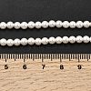 Electroplated Shell Pearl Beads Strands X-BSHE-K017-4mm-4