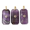 Natural Amethyst Pendants GG-CBA51ED-05G-01-1