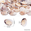 1 Box Scallop Seashells Clam Shell Dyed Beads with Holes for Craft Making 40-50pcs BSHE-YW0001-01-3