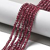 Natural Garnet Beads Strands G-H077-A01-01-2