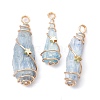 Electroplated Natural Quartz Crystal Dyed Copper Wire Wrapped Pendants PALLOY-JF02326-04-1