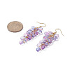 Transparent Glass Bead Cluster Dangle Earrings EJEW-JE05246-5
