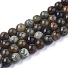 Natural Serpentine Beads Strands G-S333-10mm-015-1