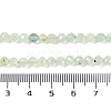 Natural Prehnite Beads Strands G-G139-A05-03-5