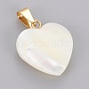 Shell Pendants STAS-F210-17G-A-2