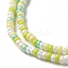 Glass Seed Bead Strands LAMP-B021-04B-4