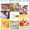 100Pcs OPP Plastic Bags OPP-SP0001-04A-6