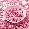 Baking Paint Glass Seed Beads SEED-K009-01A-20-2
