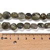 Natural Labradorite Beads Strands G-P497-01E-47-5