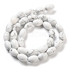 Natural Howlite Beads Strands G-B106-B25-01-3