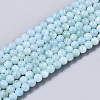 Natural Freshwater Shell Beads Strands BSHE-T009-01C-1